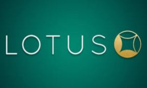 Lotus247